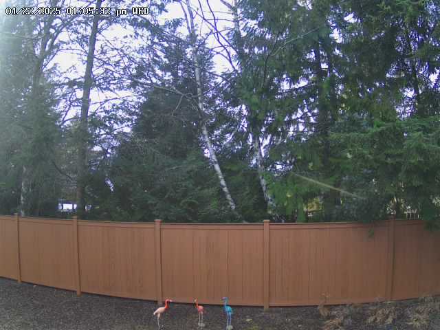 Backyard Camera